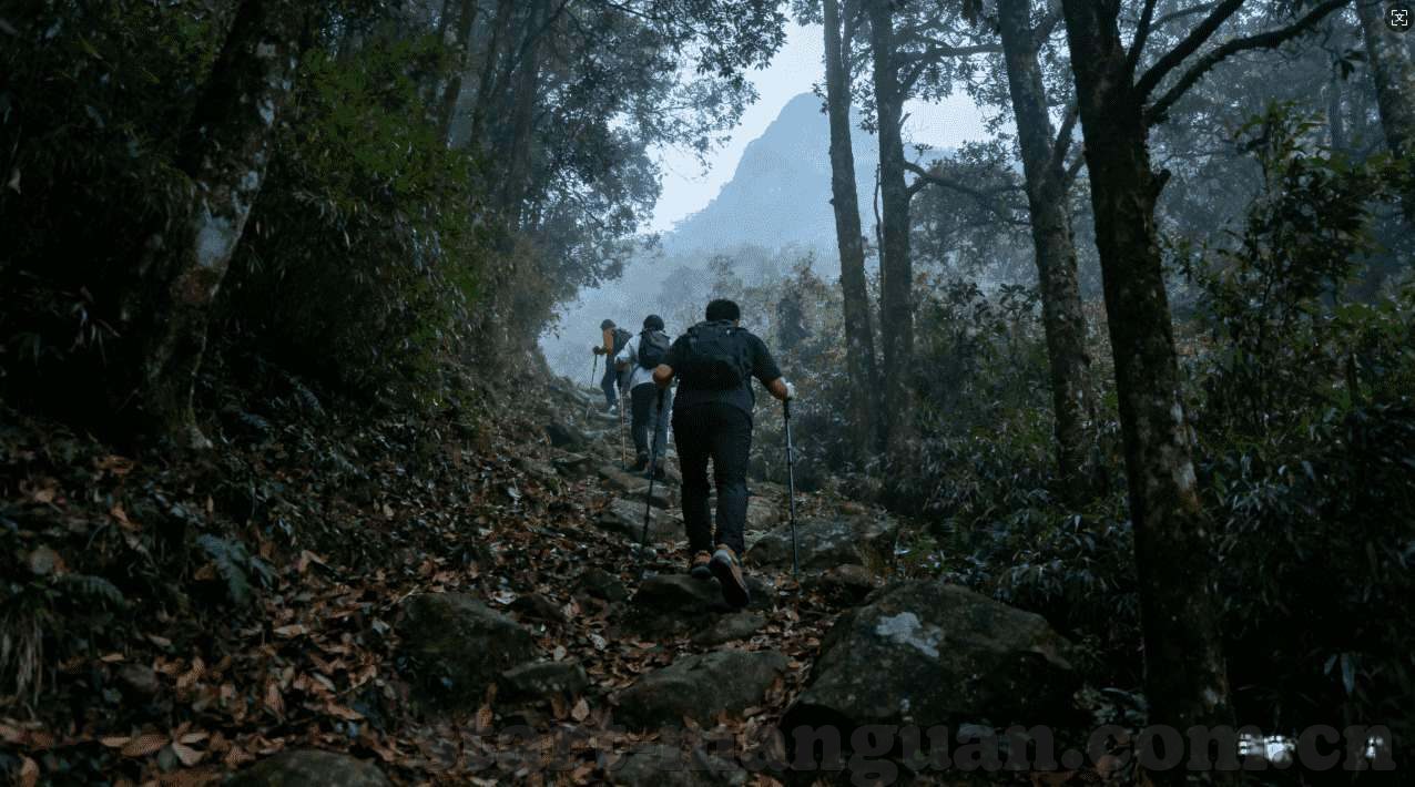 世界杯买球在哪sjb18 tv-世界杯买球，一场激情与策略的盛宴